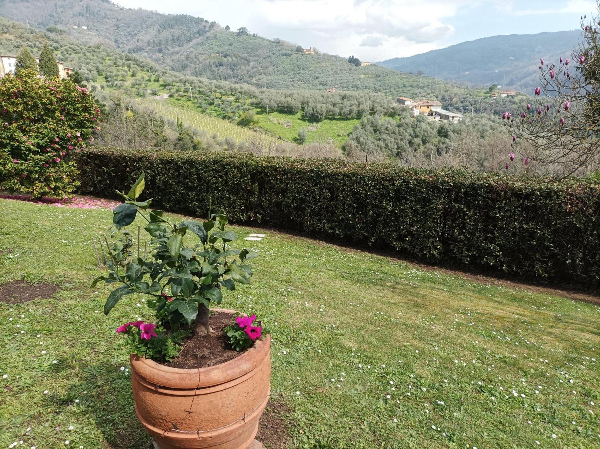 Villa Camelia Tuscany Pescia Exterior photo